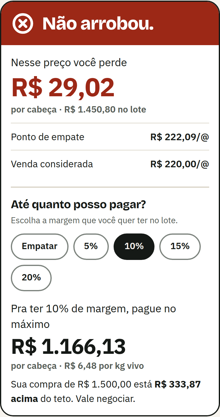Veredito Não arrobou: nesse preço você perde R$ 29,02 por cabeça